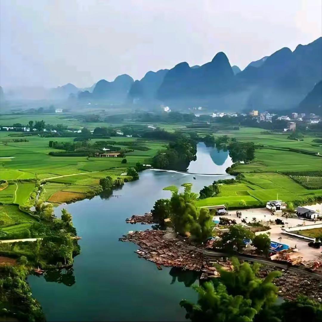 蕨尚花卉臻选阁