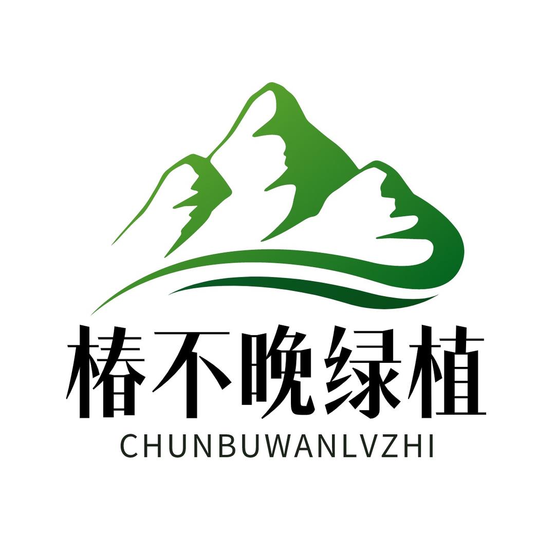 椿不晚绿植优选
