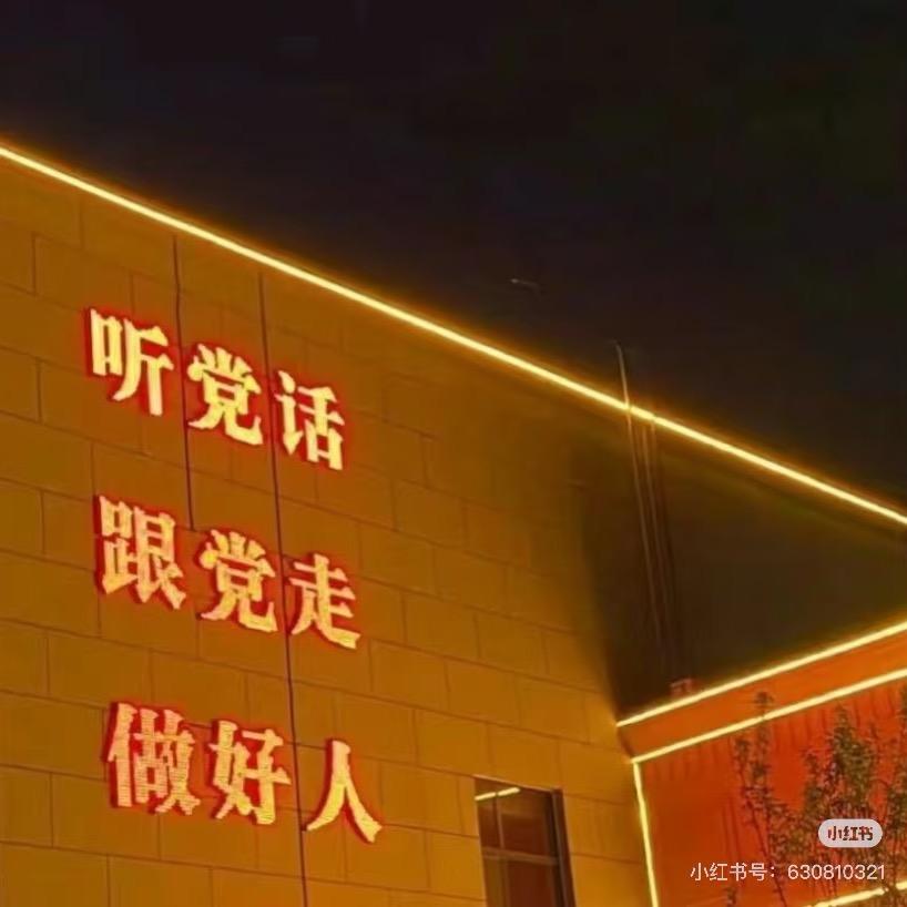 韦德快递
