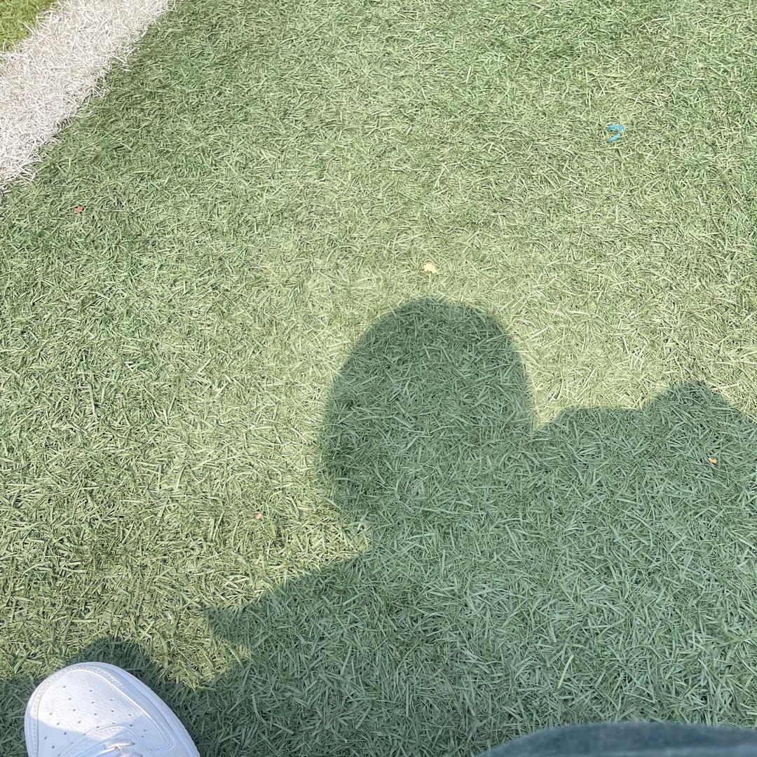 今晚吃什么。