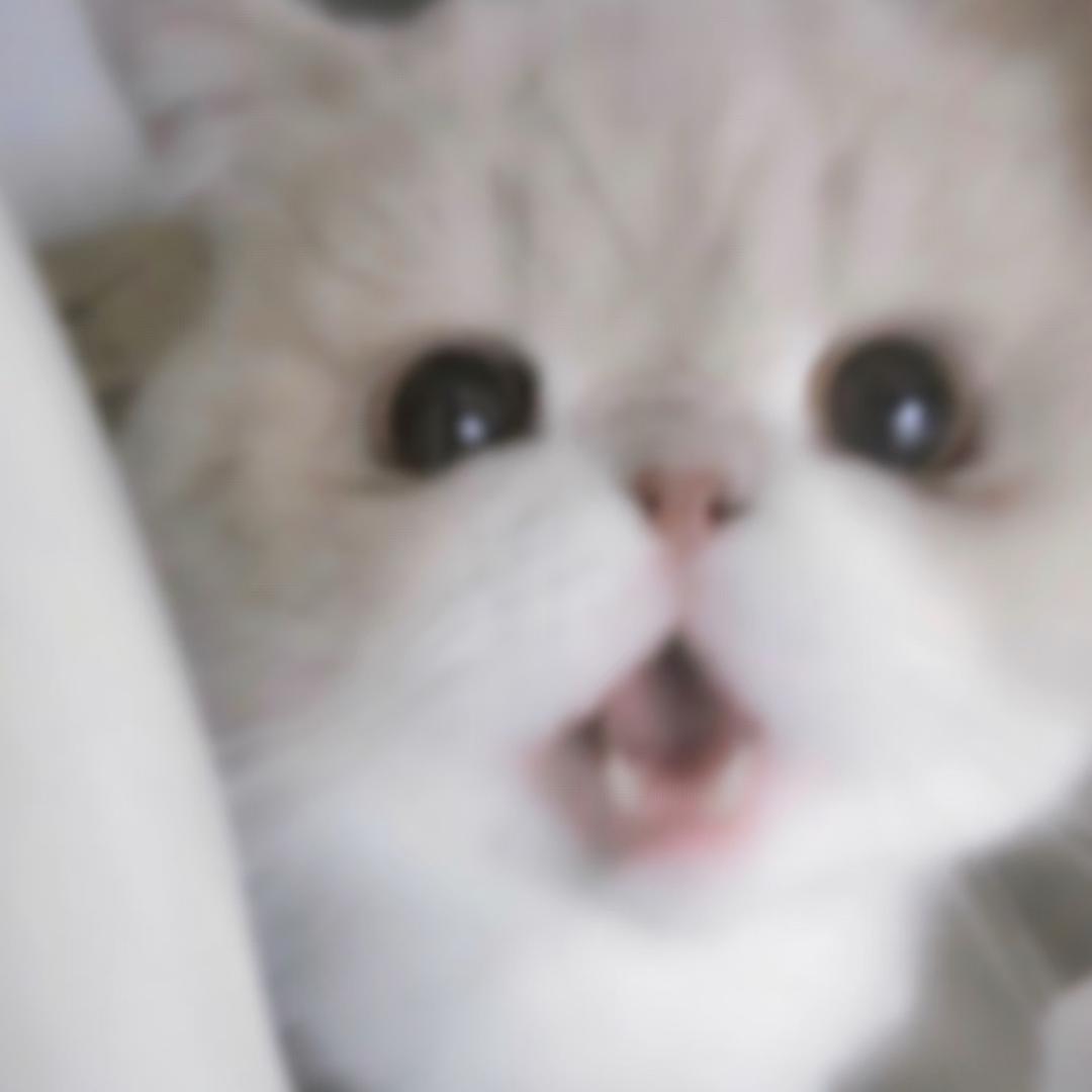 黄油小年糕