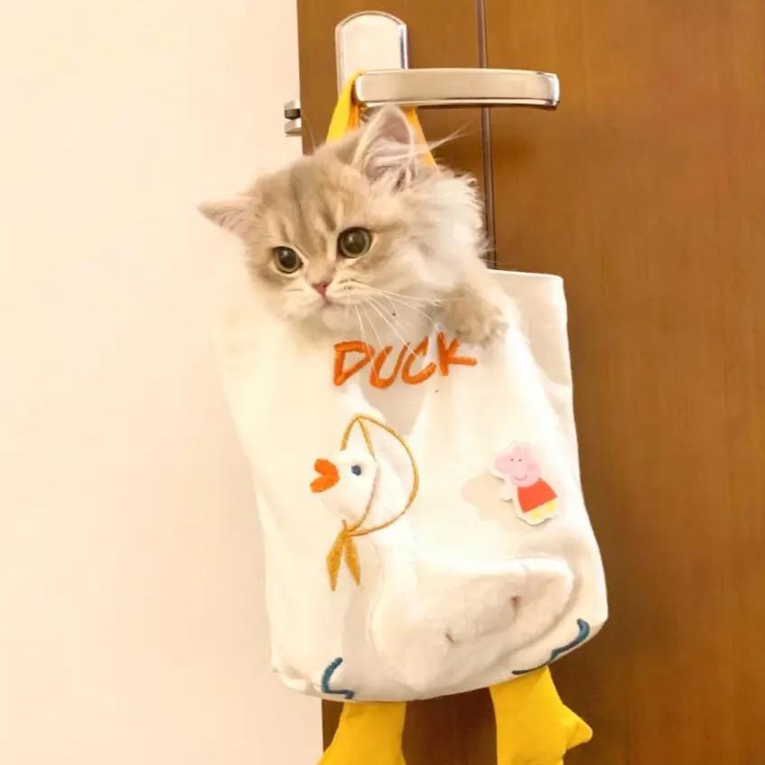 哇 我像小呆呆吗（· U · ）