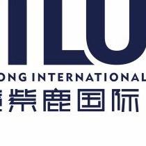 安顺紫鹿国际