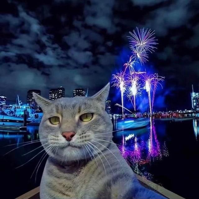 靠海很近