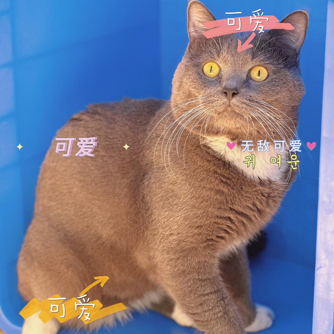-ʜєʟʟɵ