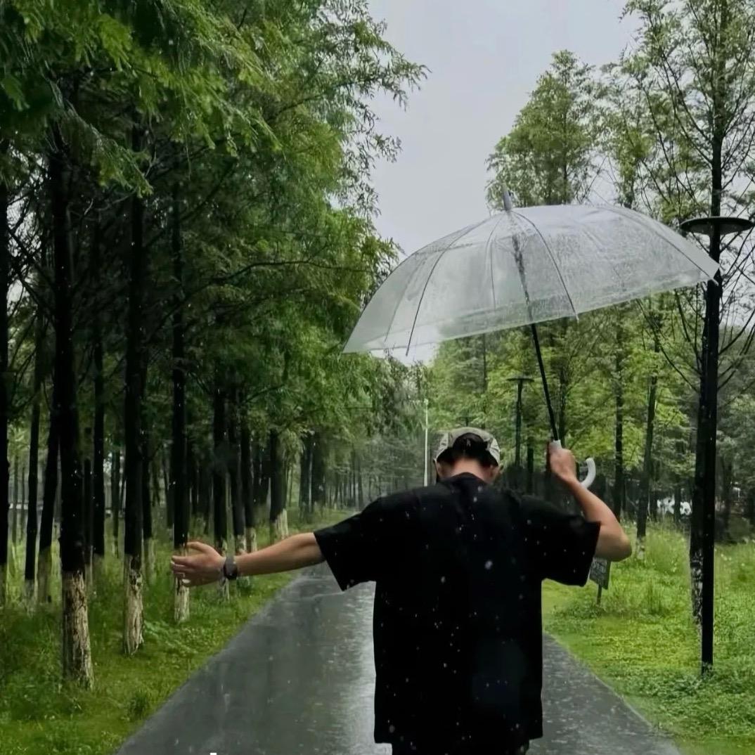 杨懒懒