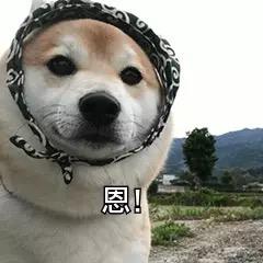 跟我念温柔的～