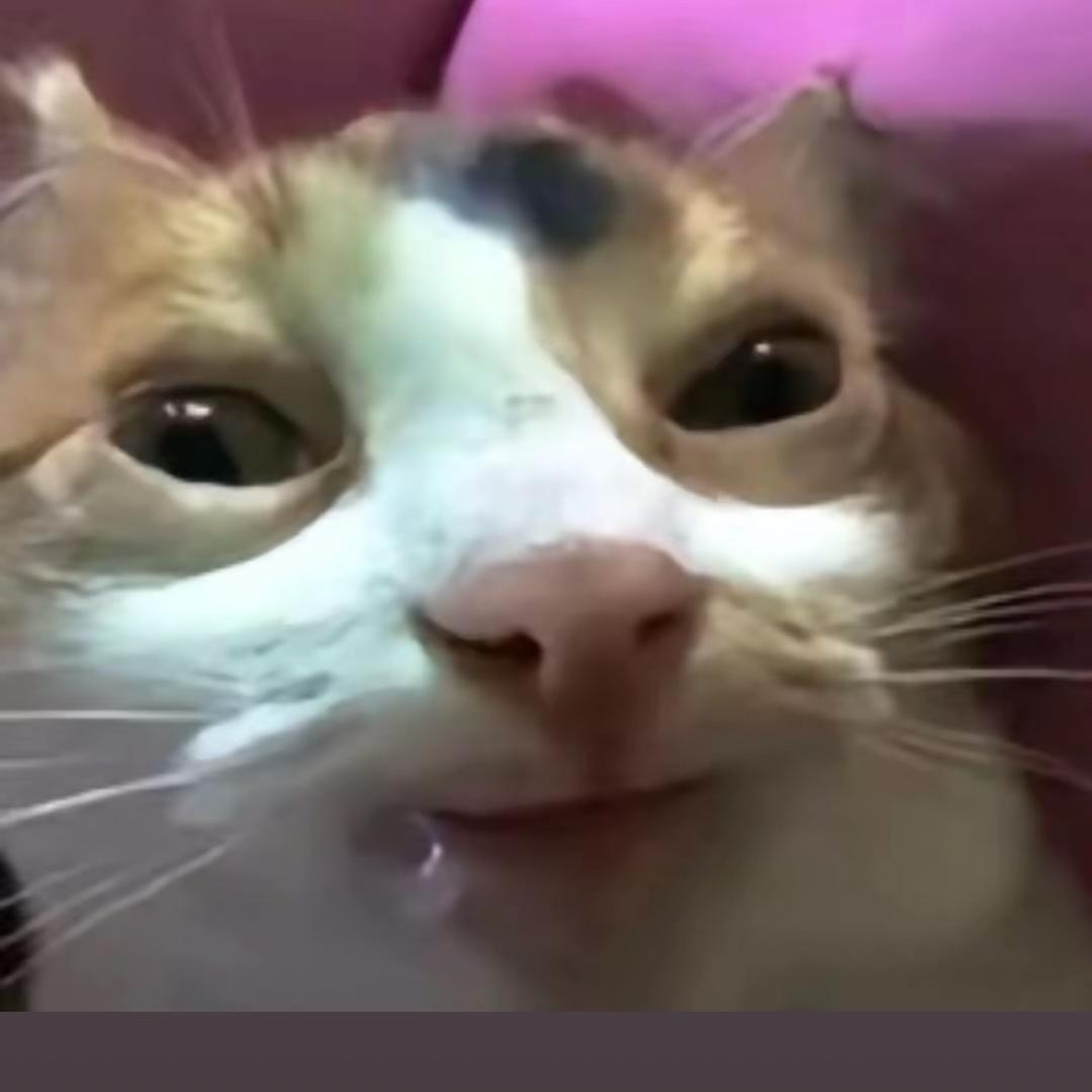 回幼儿园喝哇哈哈