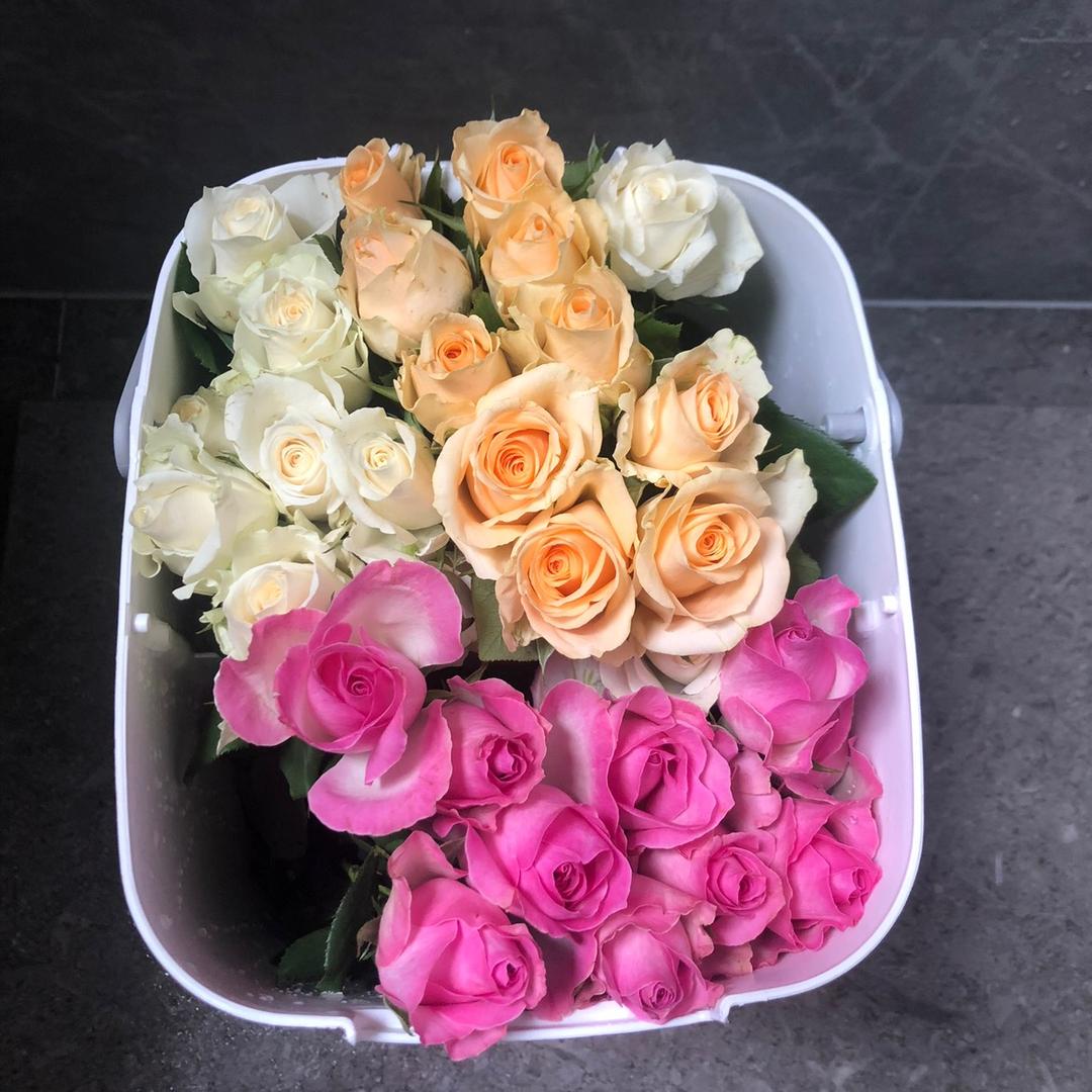 八零在深种菜（日常分享）