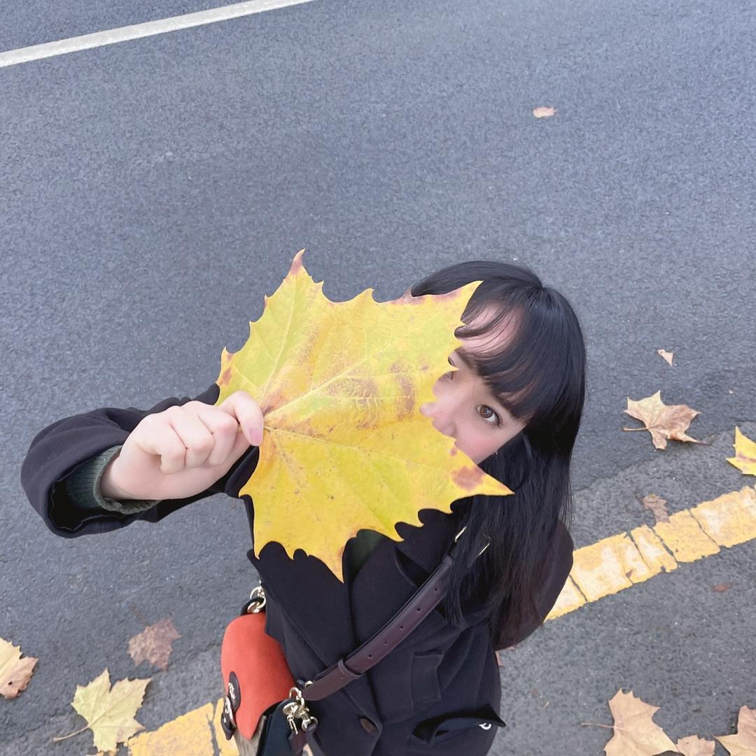 成成看房