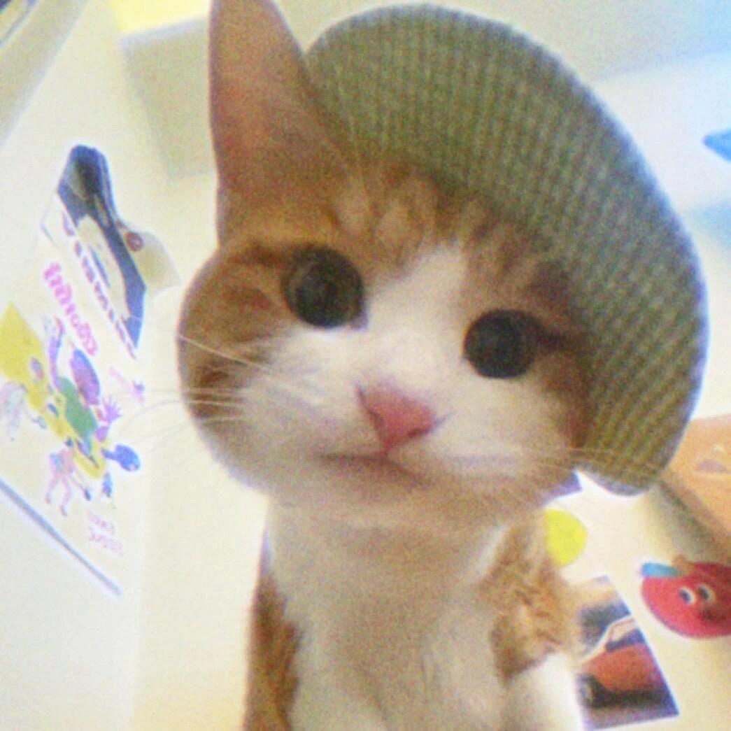 在下小魚.