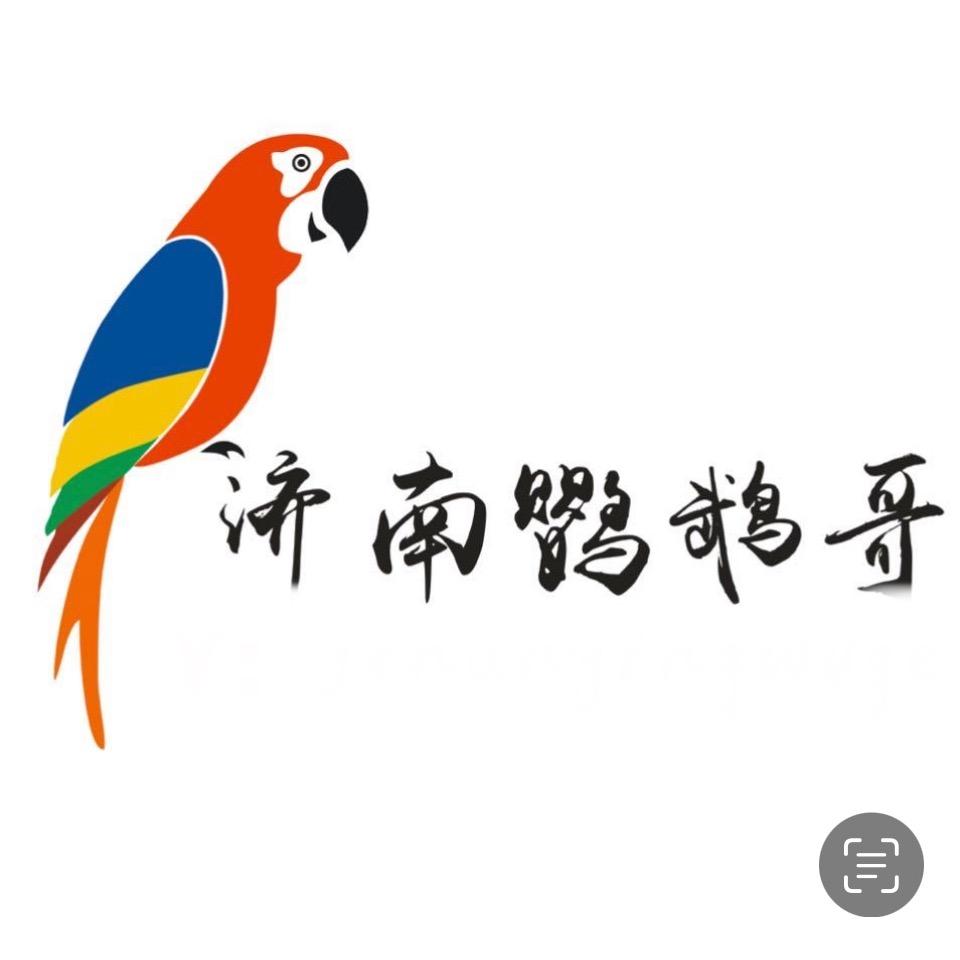 晨辉鹦萌宠玄凤