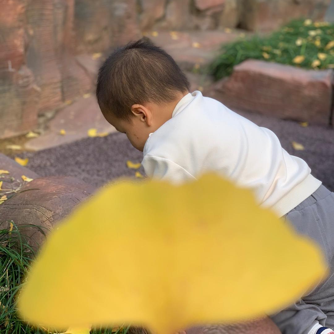 🌈🌈🌈🌈🌈love～淡然🍀