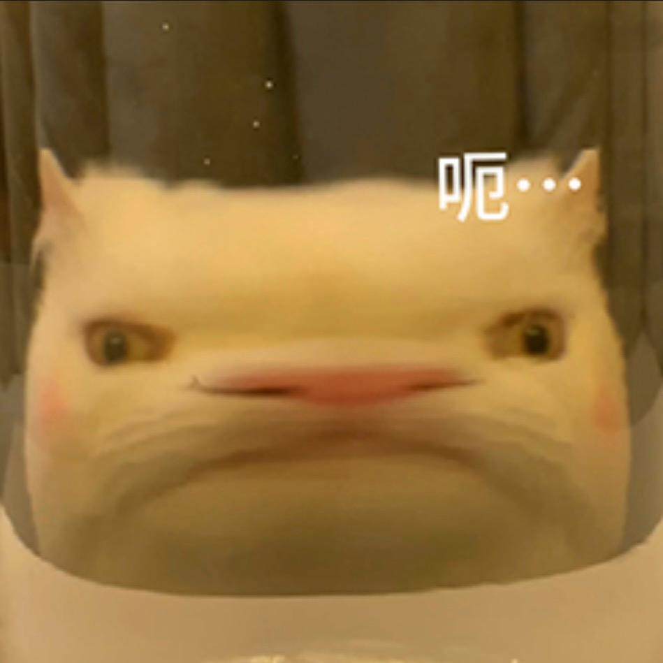 羊阿羊🐑
