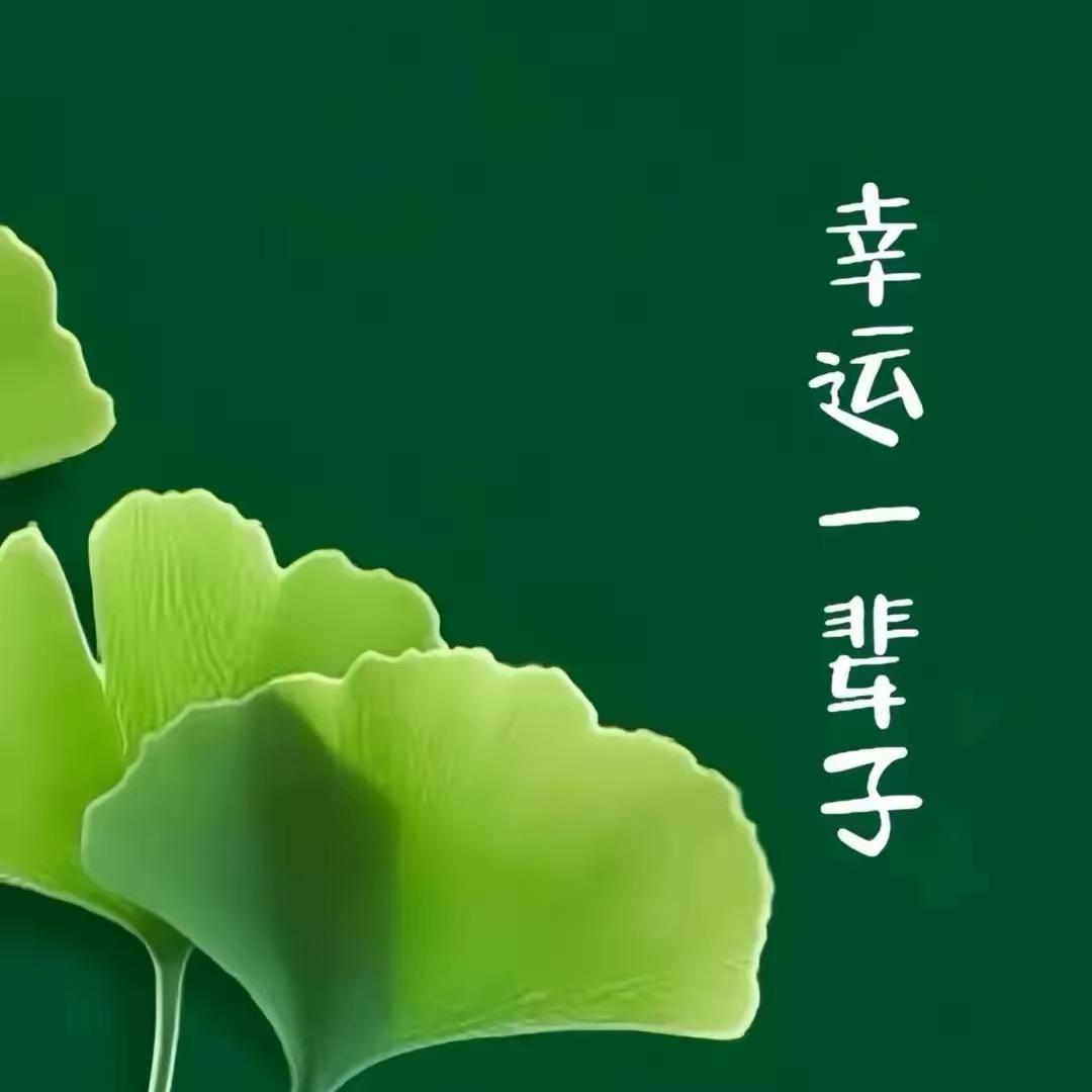 岁喜