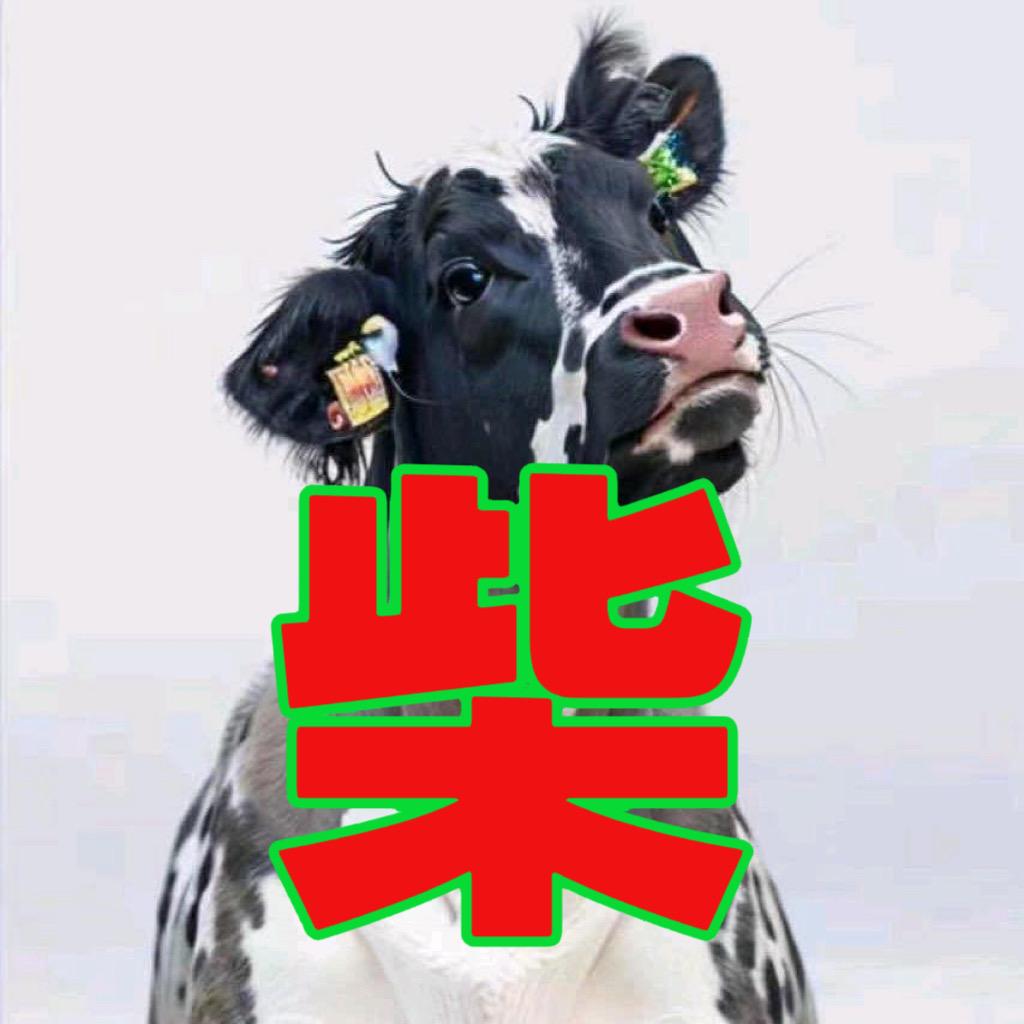 水到柴成