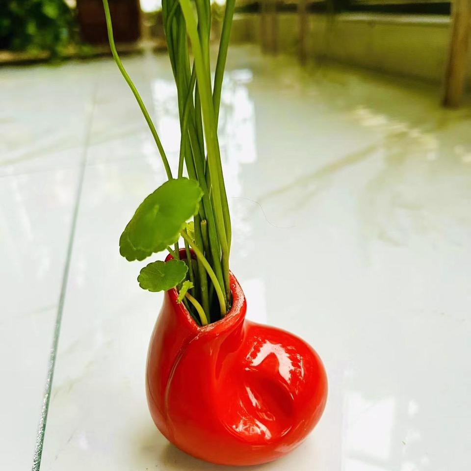 🔥铜草房🔥
