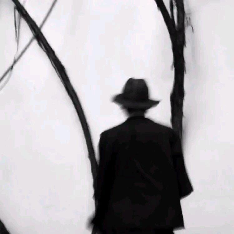 容止头像
