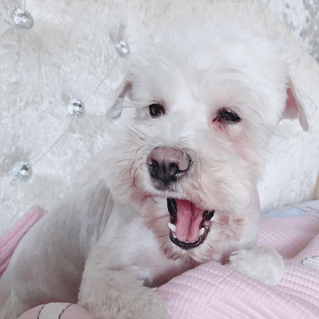 🎀💕张幸运💕🎀