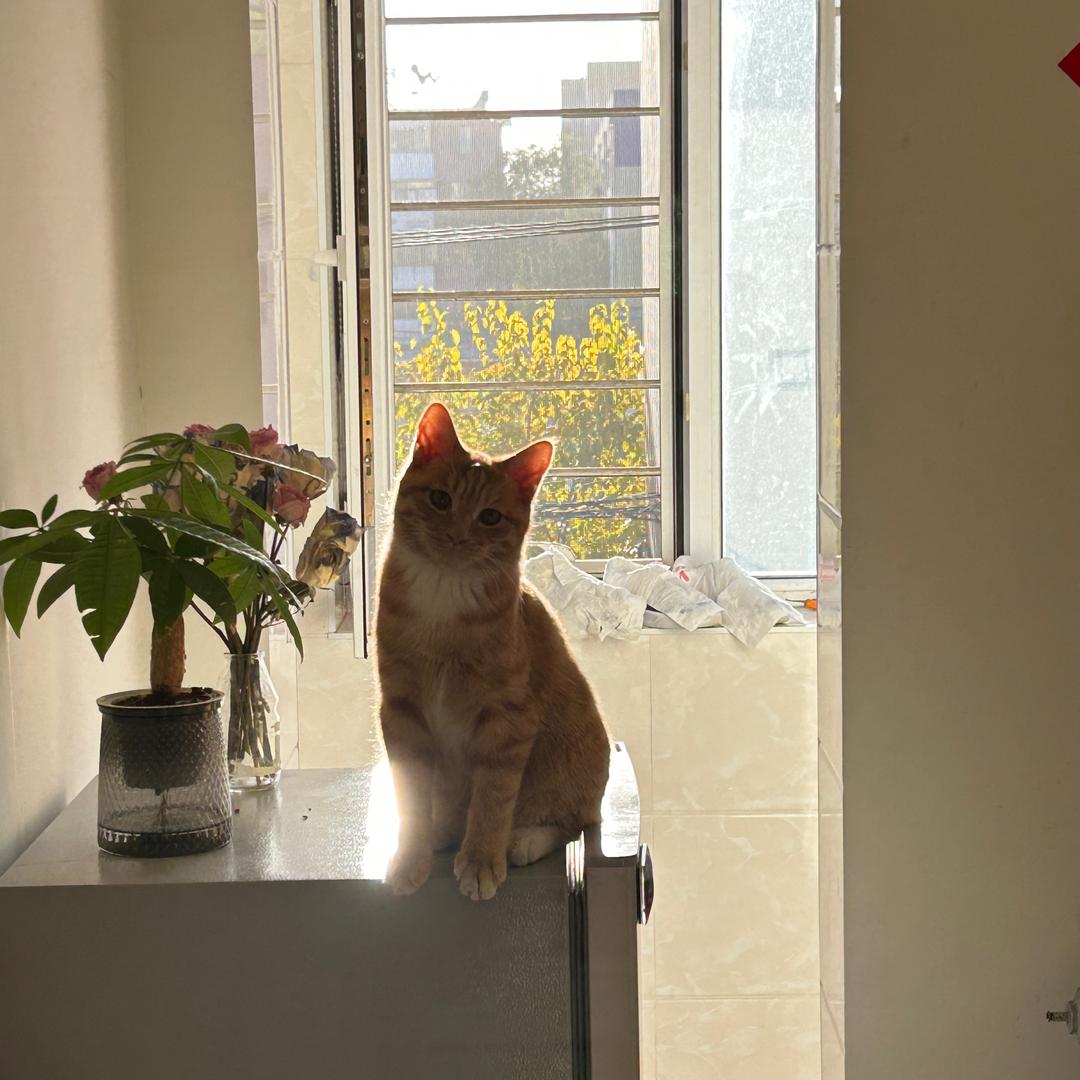 超子🌞
