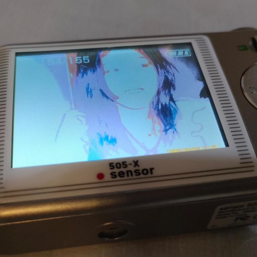 不爱睡觉的koala