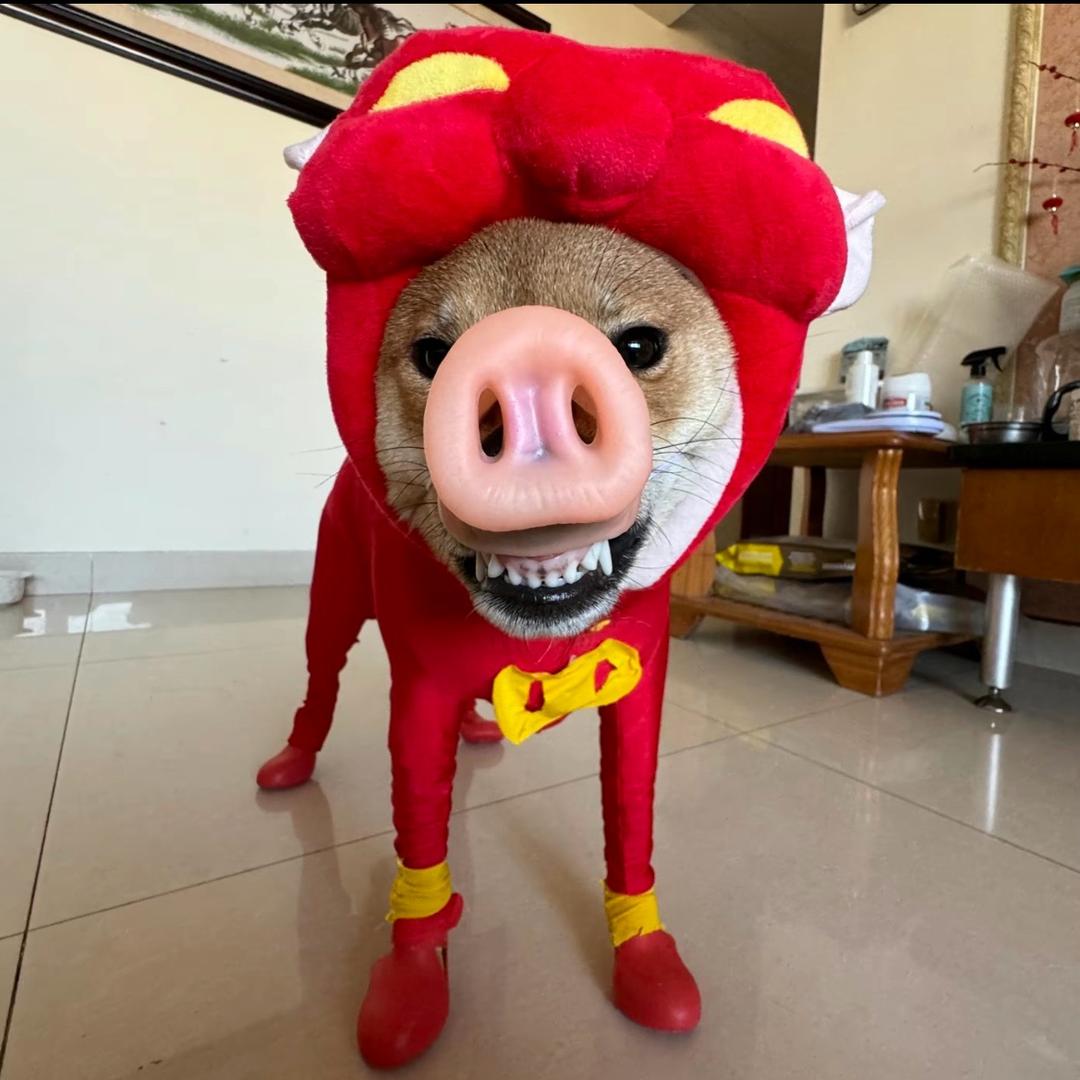 周星星