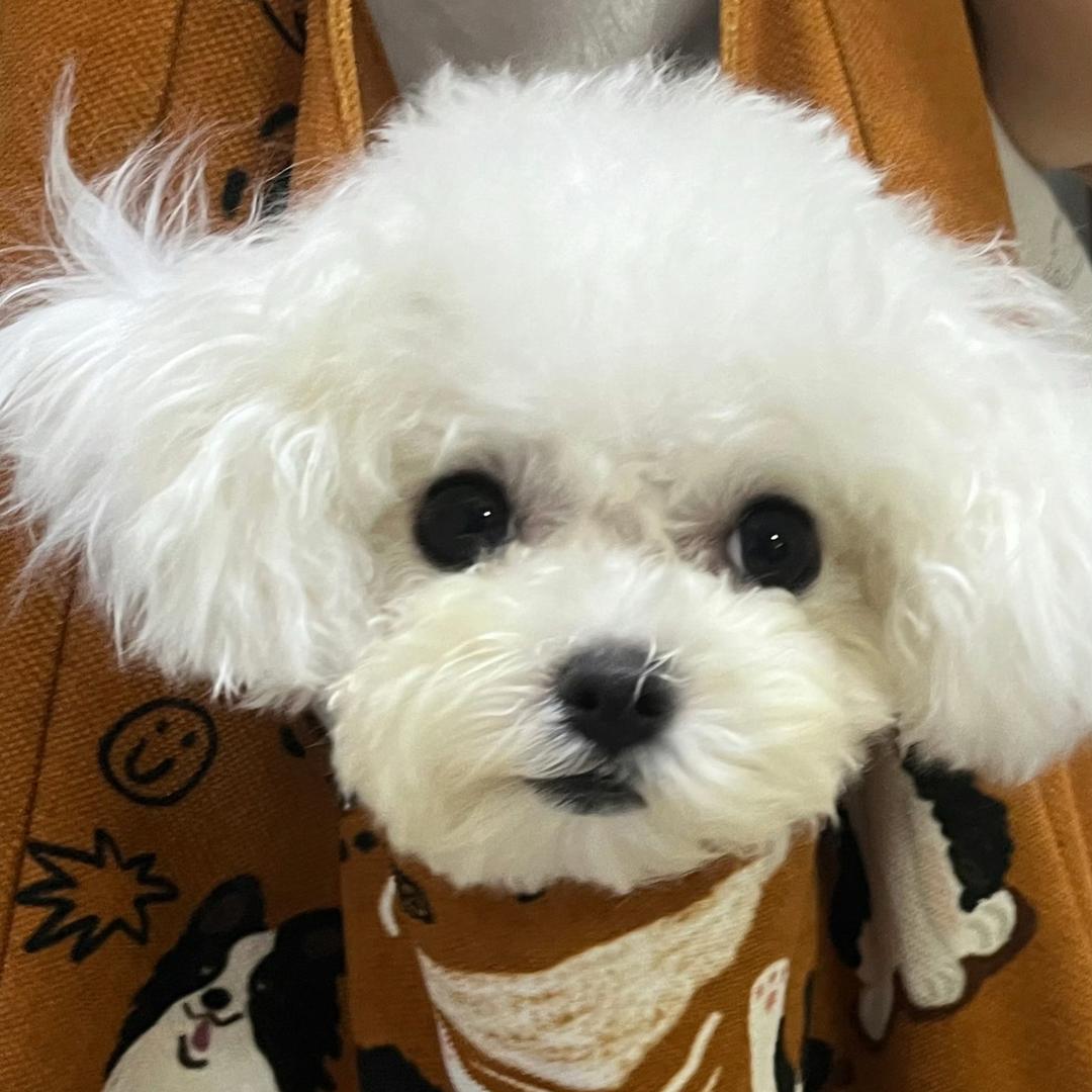 蒋后俊