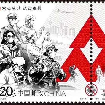 什刹海的鸭