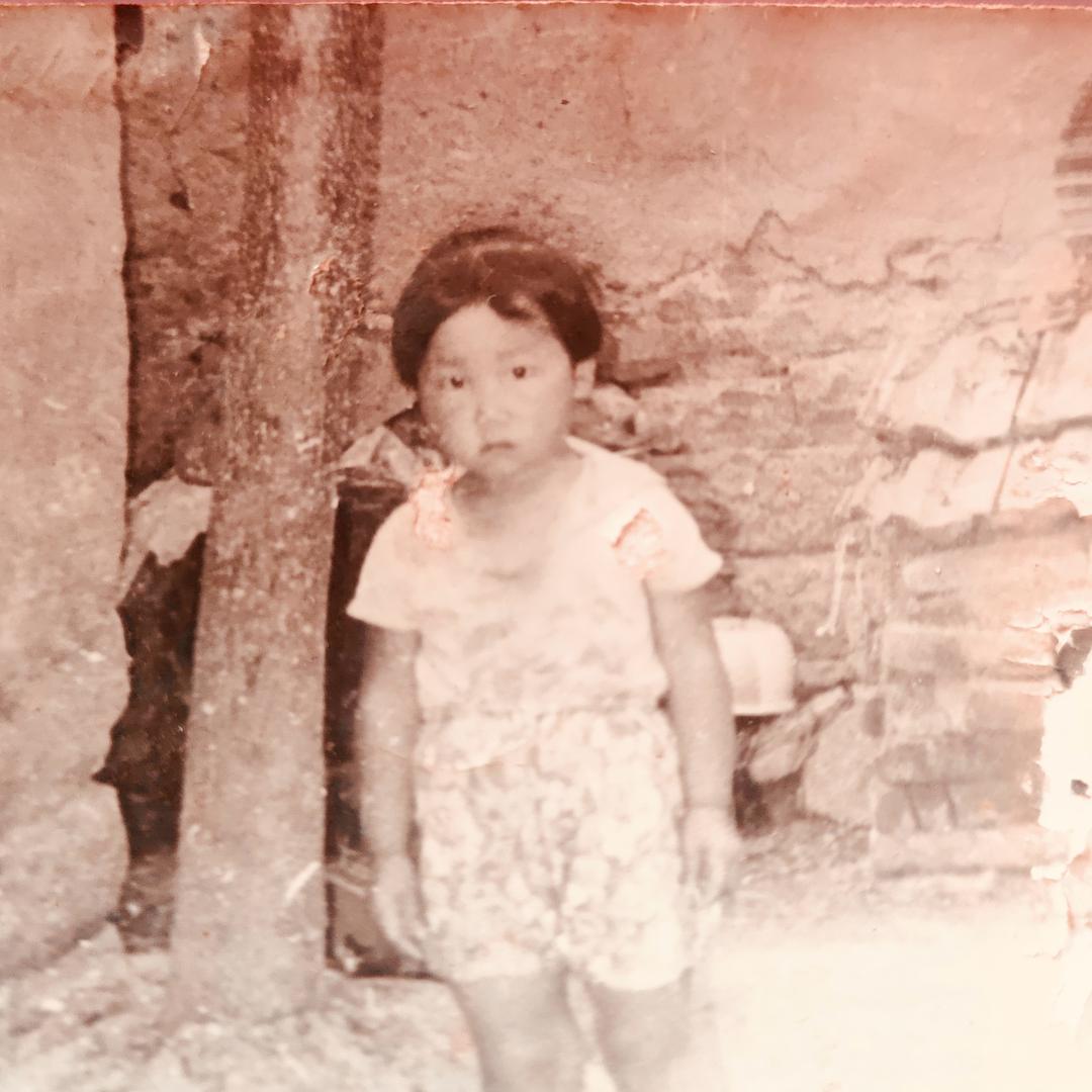 🌈鸟儿（大漂亮）