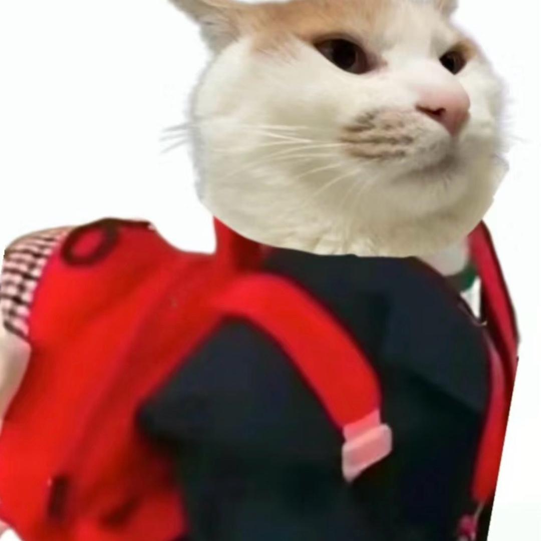 快乐tomato