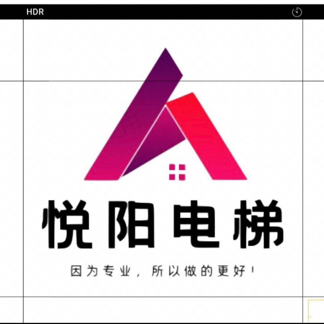 悦阳电梯