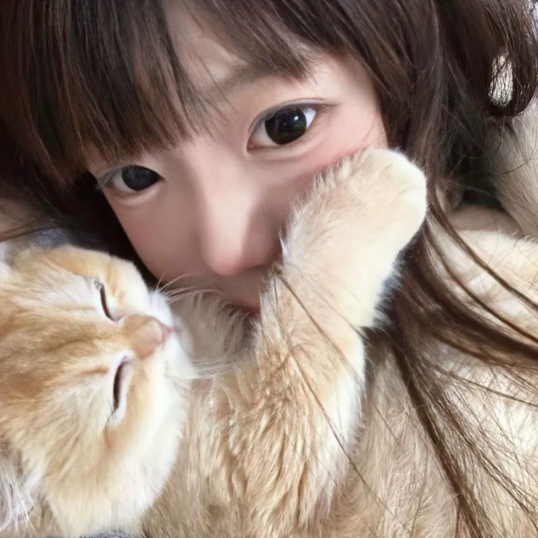 心碎琳琳