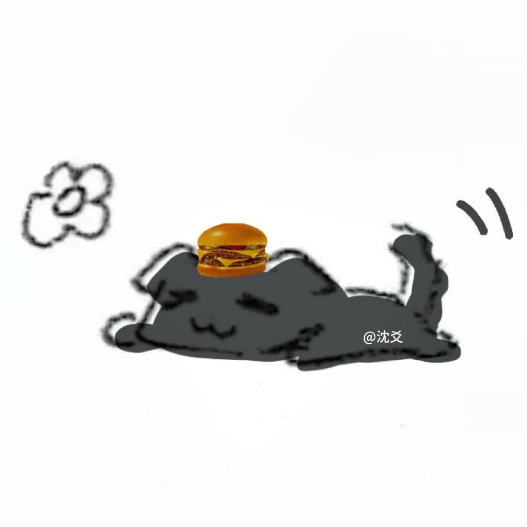 沈爻