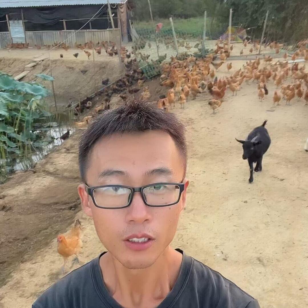 乡野小虾米