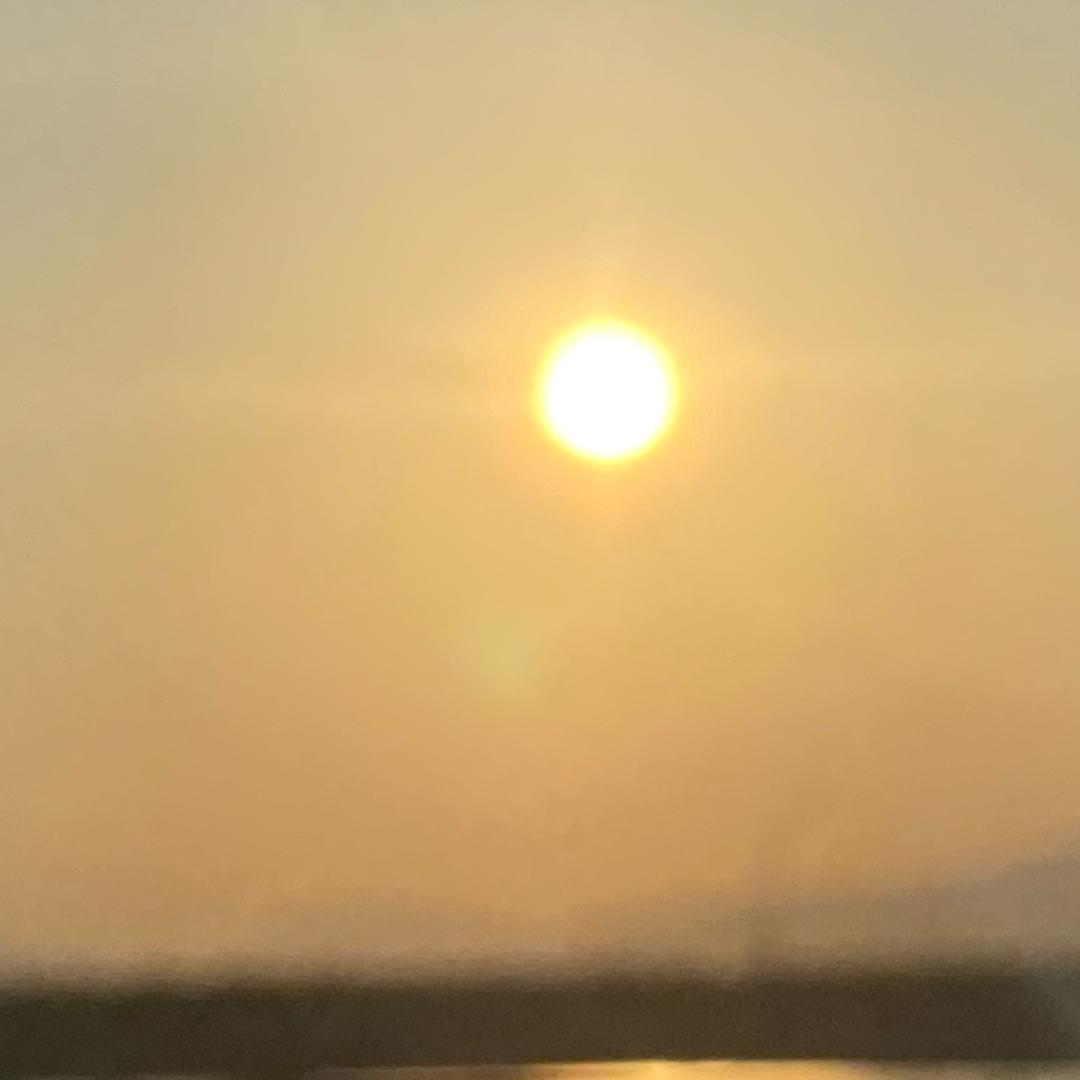 妹妹在哪里