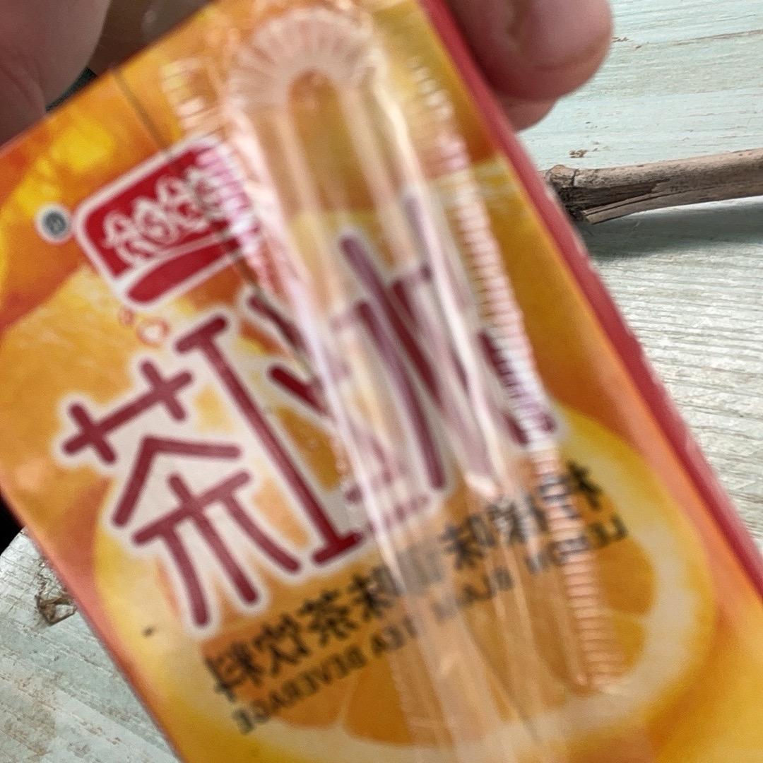 苗十二园艺