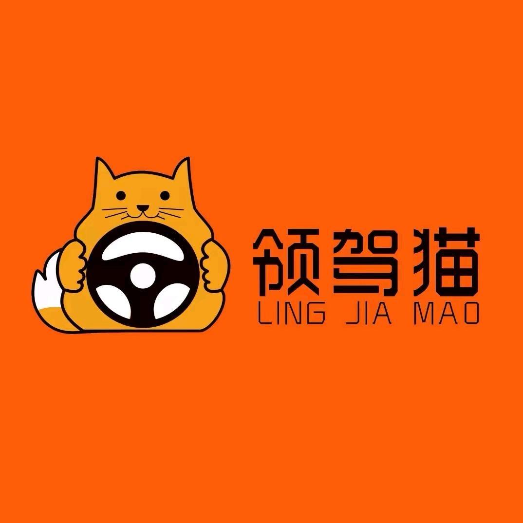 杭州领驾猫闫教练
