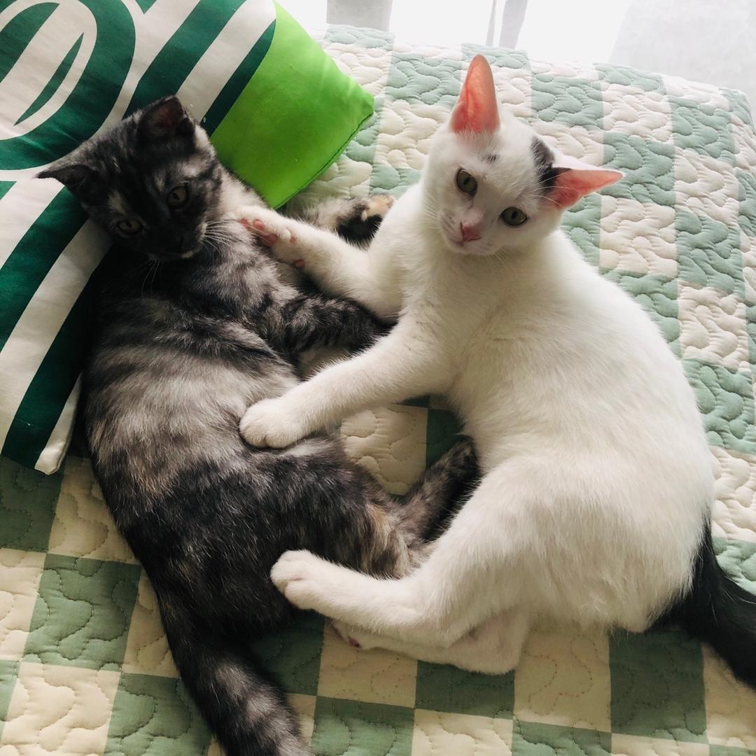 你说你是不是装怪🙈