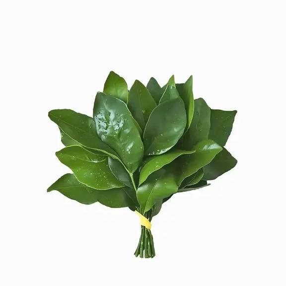 一只iuu.