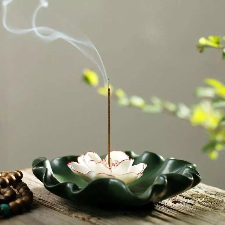 D家小师姐