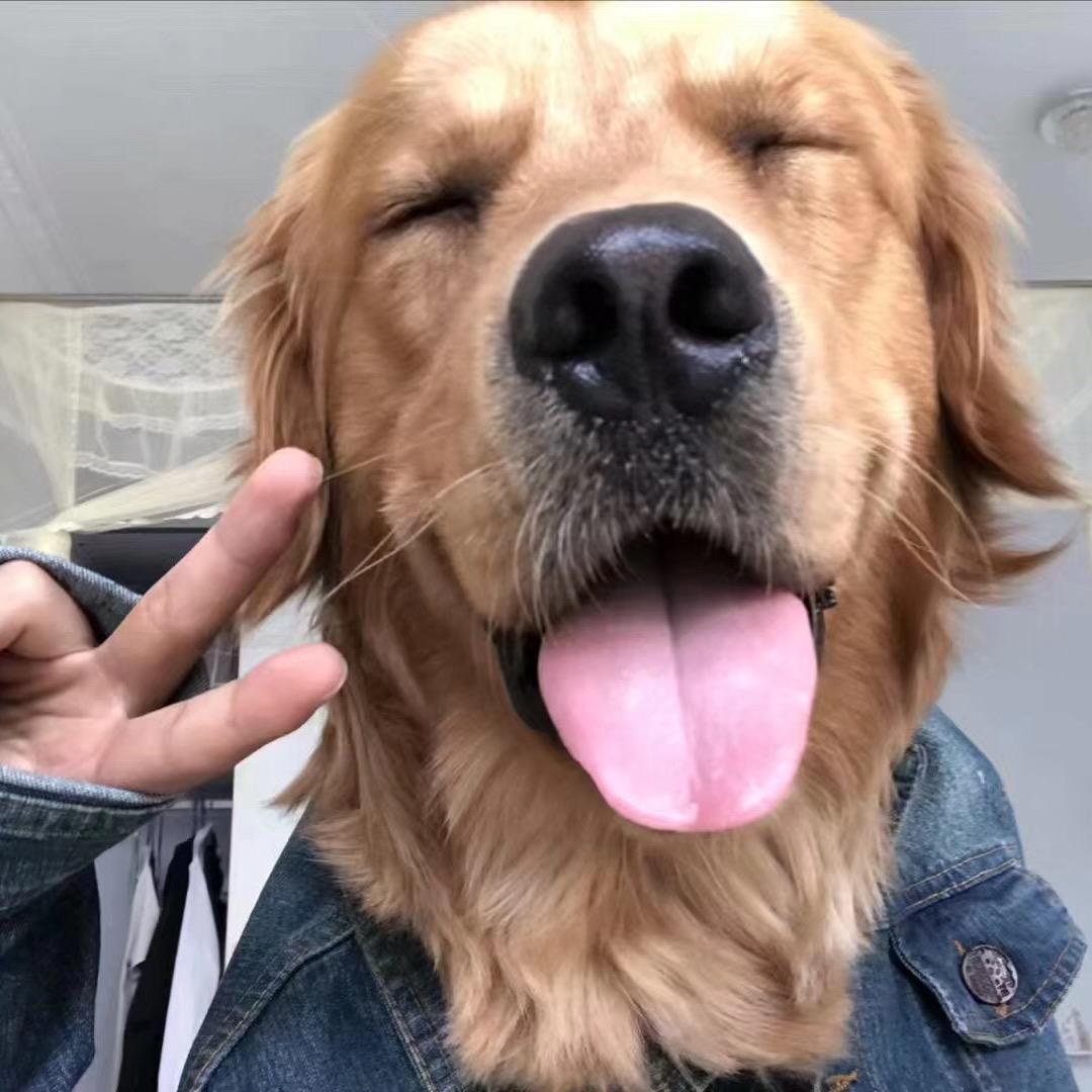 皮蛋与饲养员@抖音