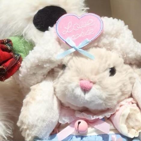 小小冉糕🐻