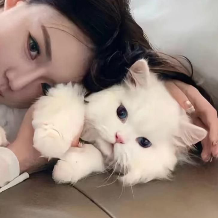 无忧小浩
