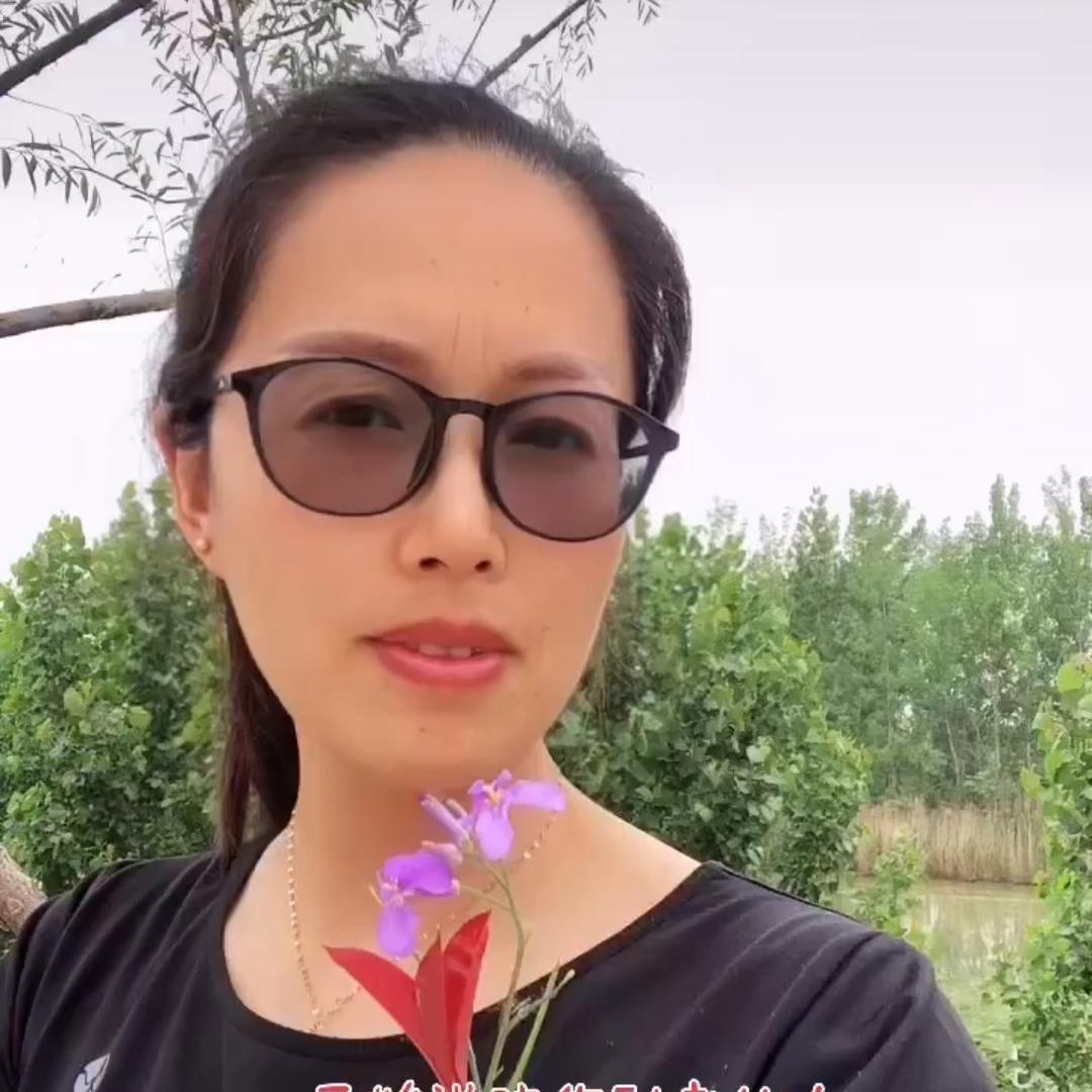七七好物