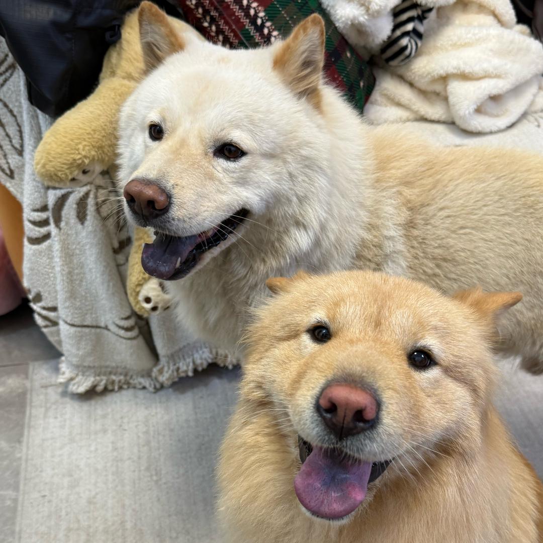 白土松🐶钱多多