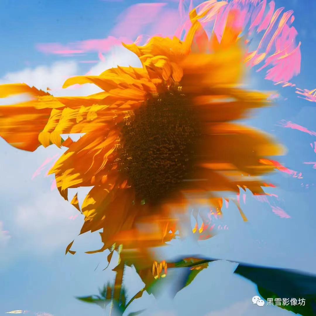 水中月