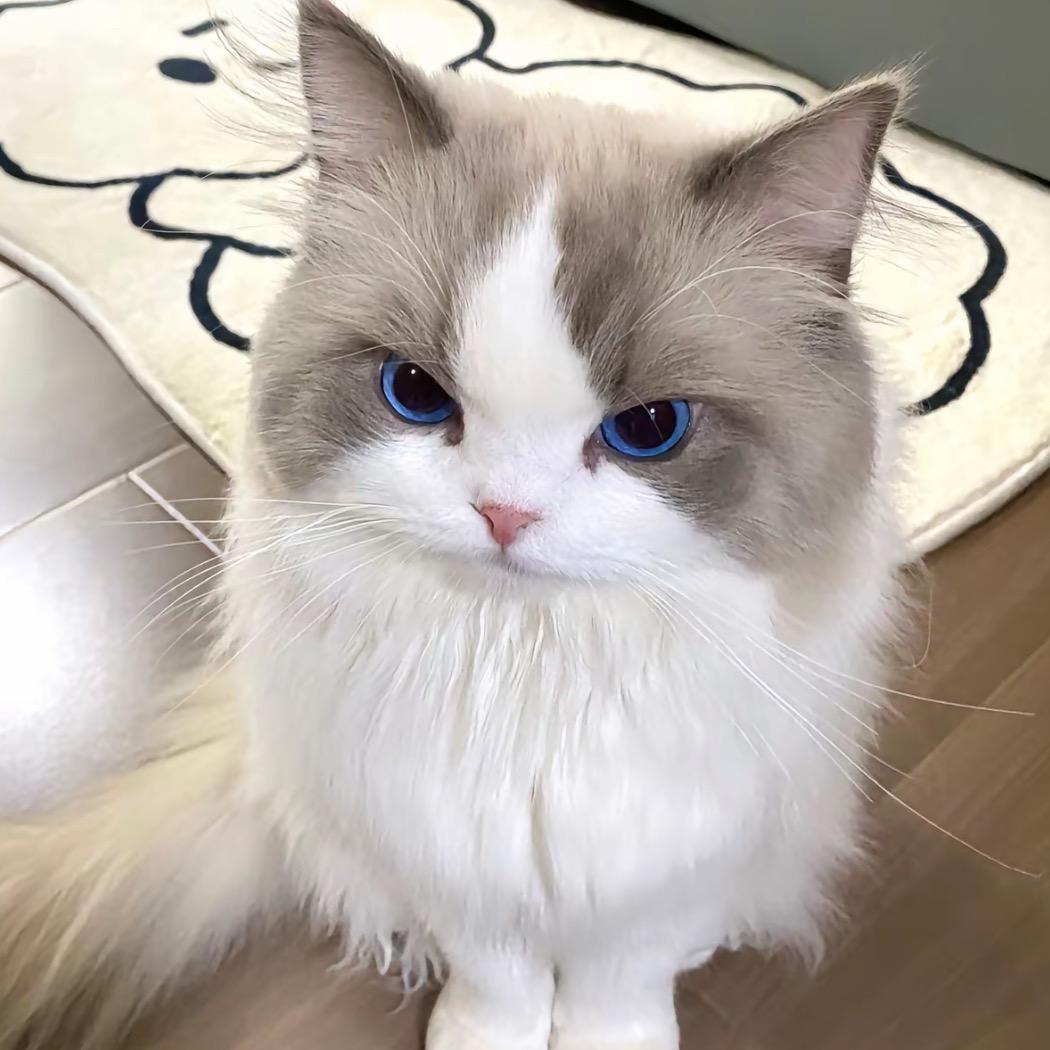 唐山𝙔𝙤𝙡𝙤经理小纪