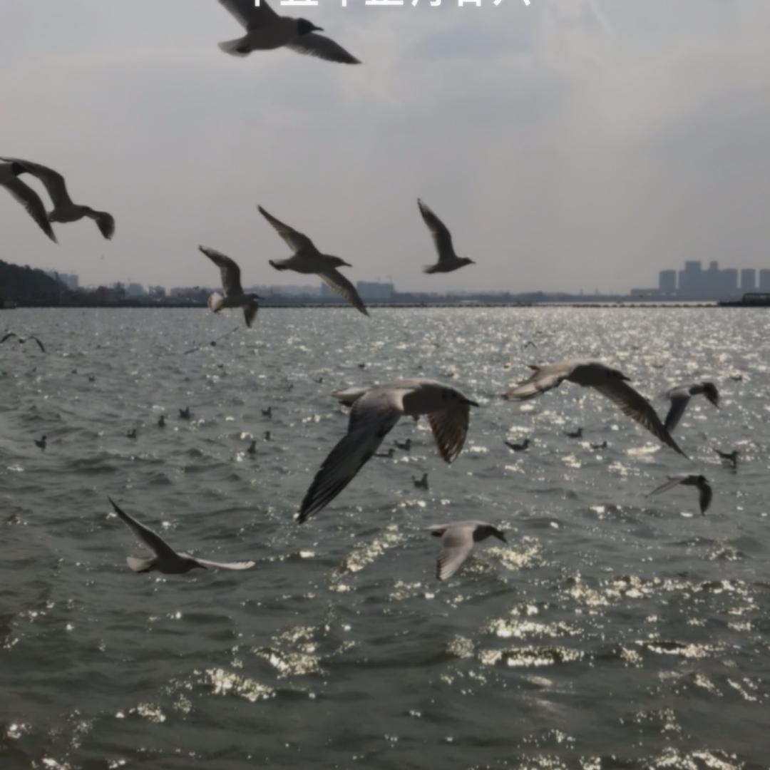 东东
