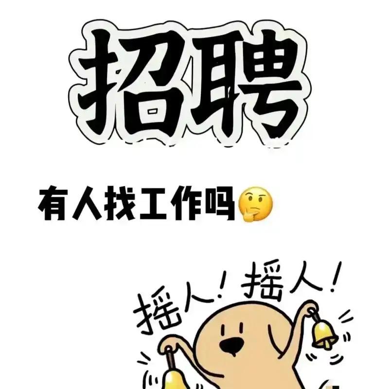 舜宇内推