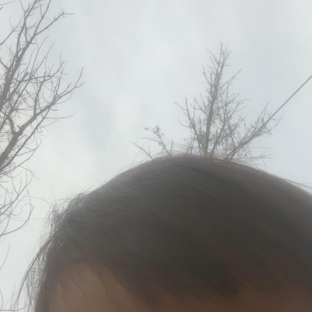 朋